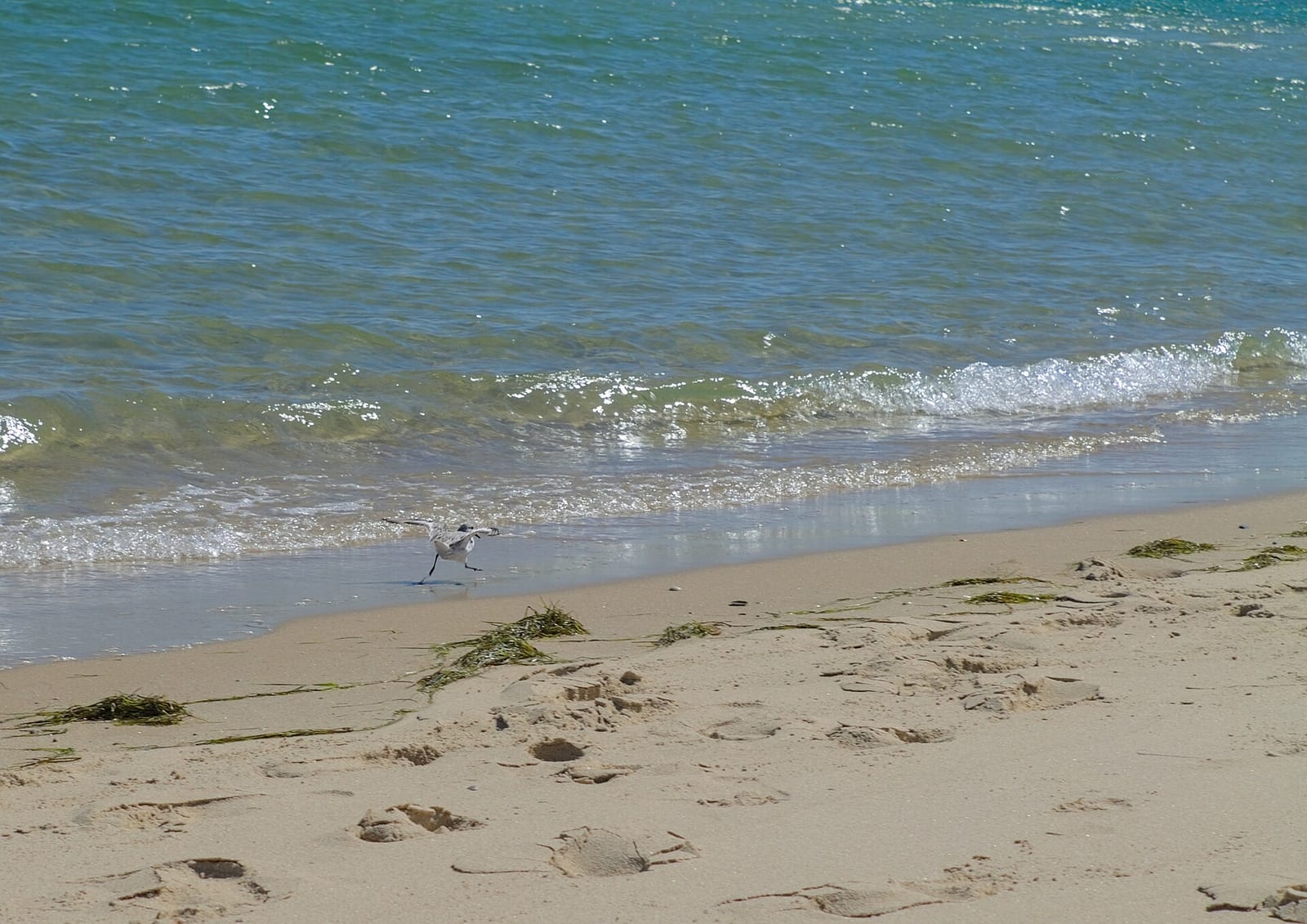 Ilha da Armona, Portugal — beach