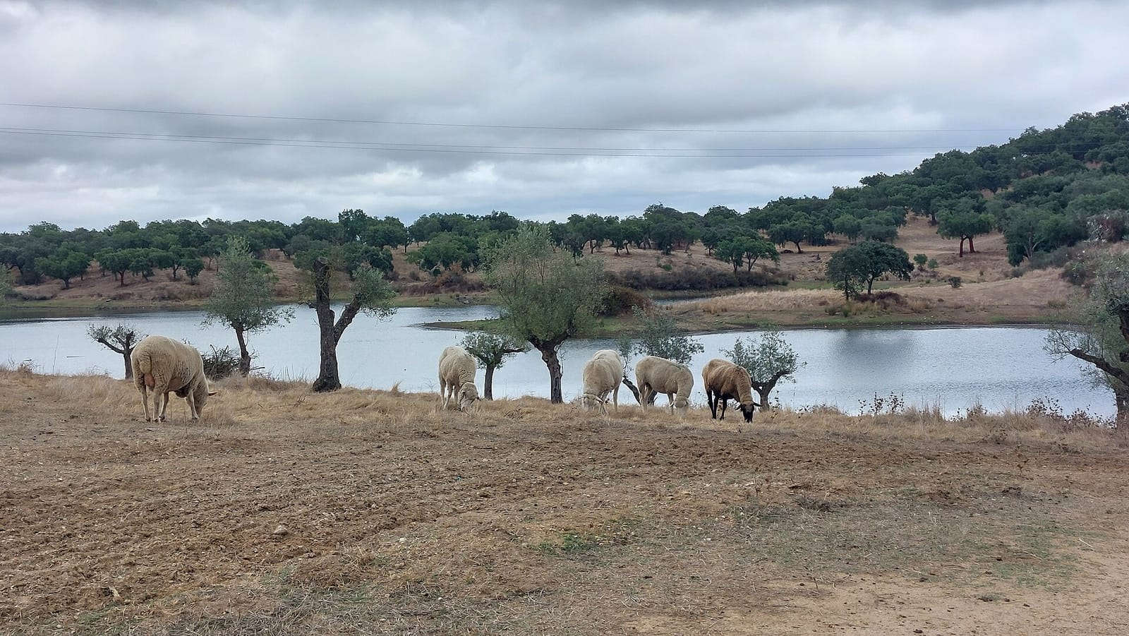 Alentejo, Portugal — region landscape
