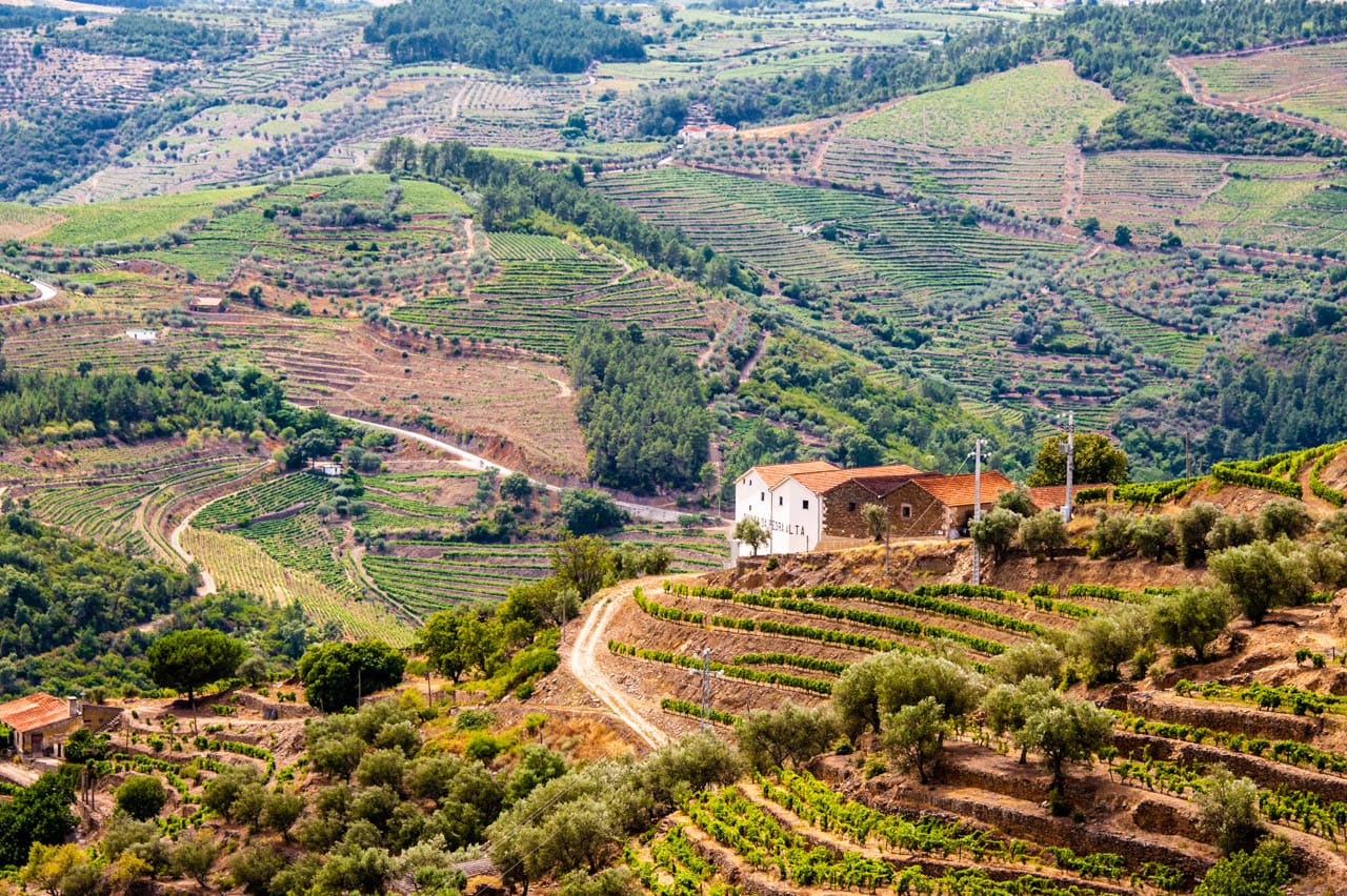 Douro-Tal, Portugal — Landschaft der Region